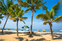 Small Group and Private Group Touring