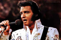 Elvis